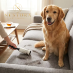 Reusable lint roller for removing pet hair and lint from sofa