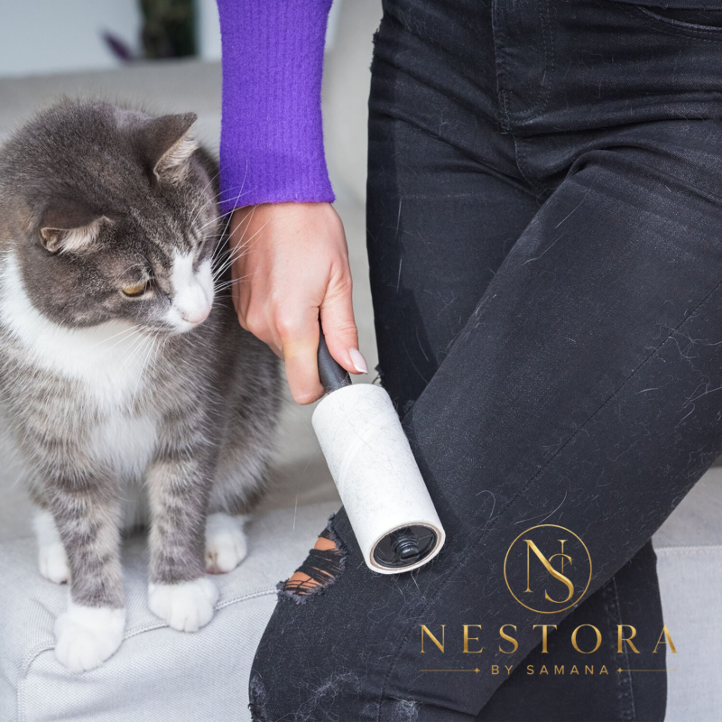 Reusable lint roller for removing pet hair and lint from sofa