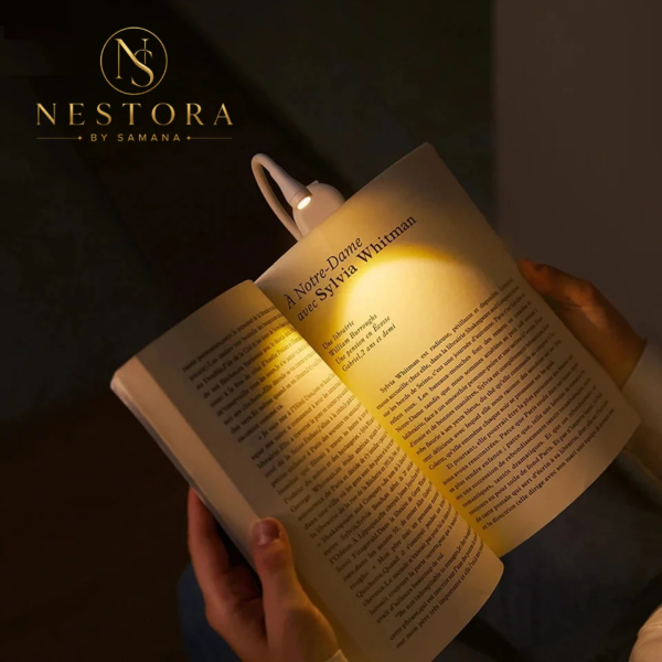 Mini Book Light